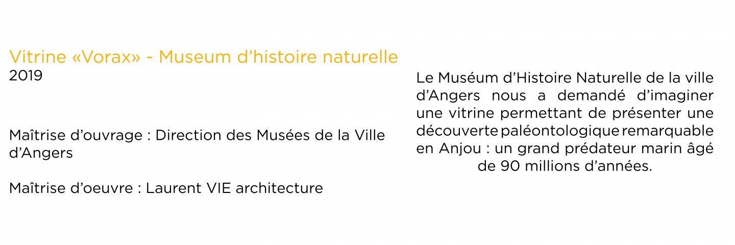 Laurent Vié - Vitrine Vorax - Muséum d'Histoire Naturelle d'Angers