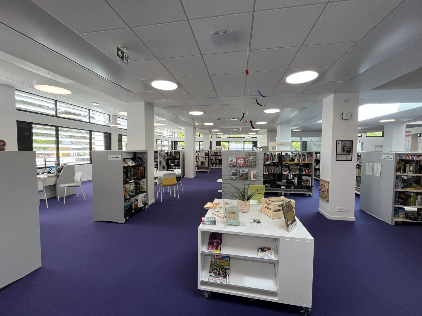 Laurent Vié - Bibliothèque Monplaisir – Angers