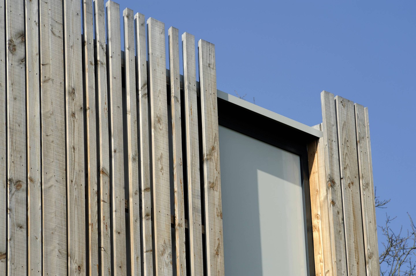 Laurent Vié - Ecole de musique Lion d'Angers