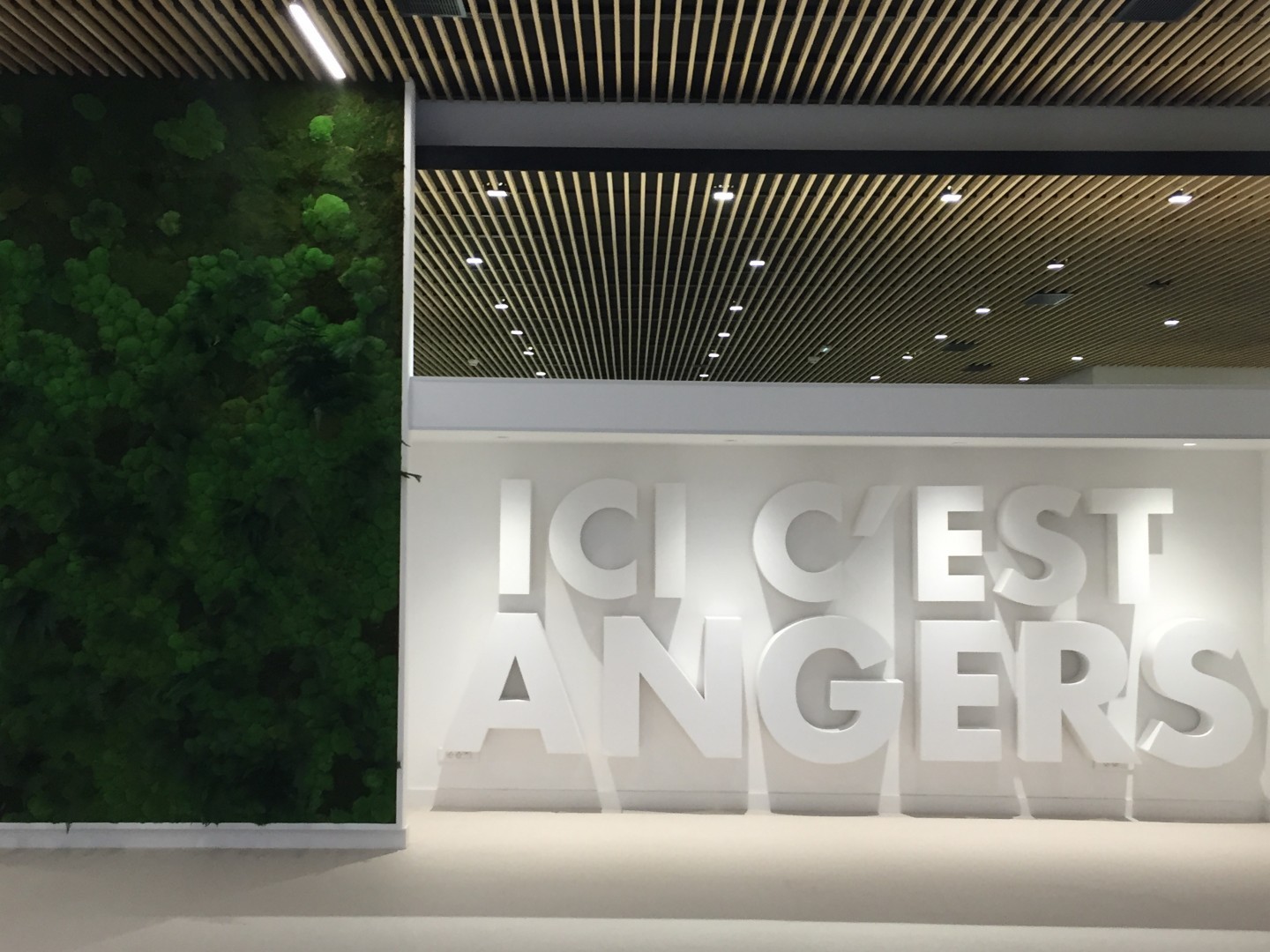 Laurent Vié - Hall de l'Hôtel de ville Angers