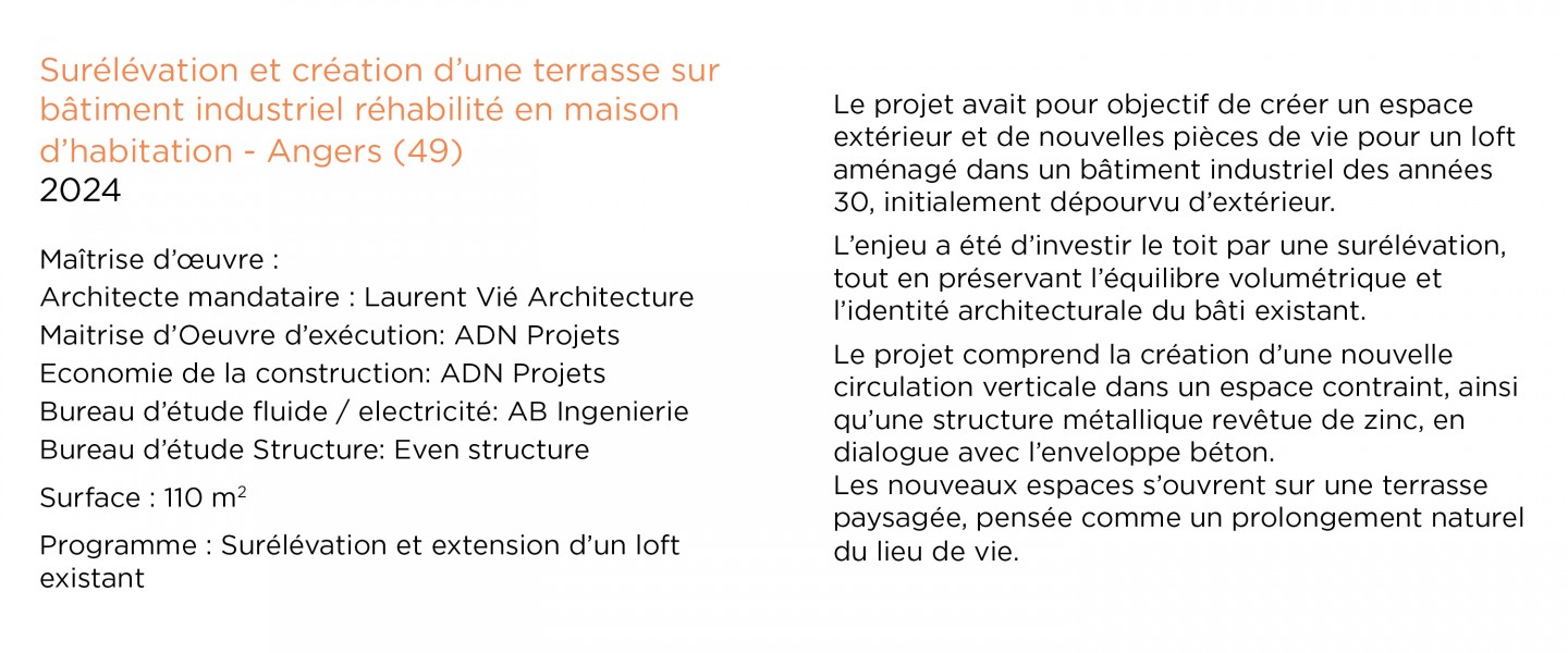Laurent Vié - Surélévation et extension d’un loft existant